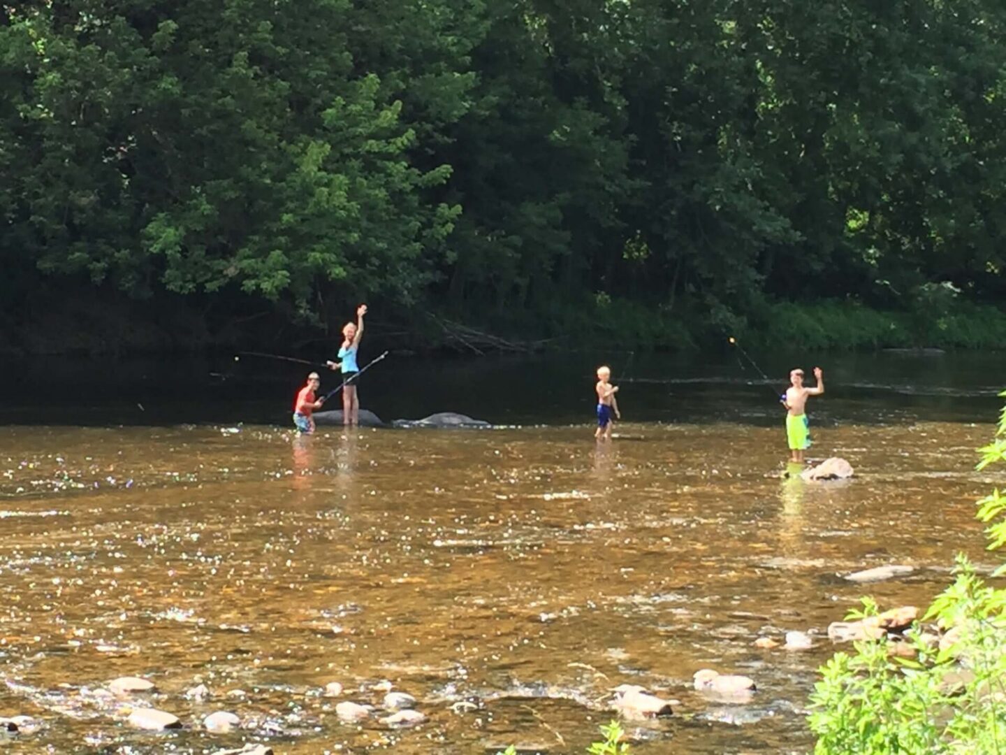 Children playing in a shallow river.