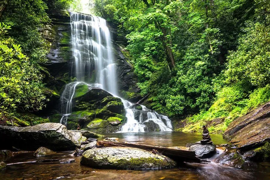 Waterfall cascading in lush green forest.