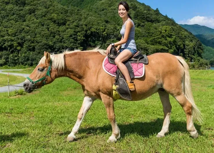 Woman riding a horse in sunny field.