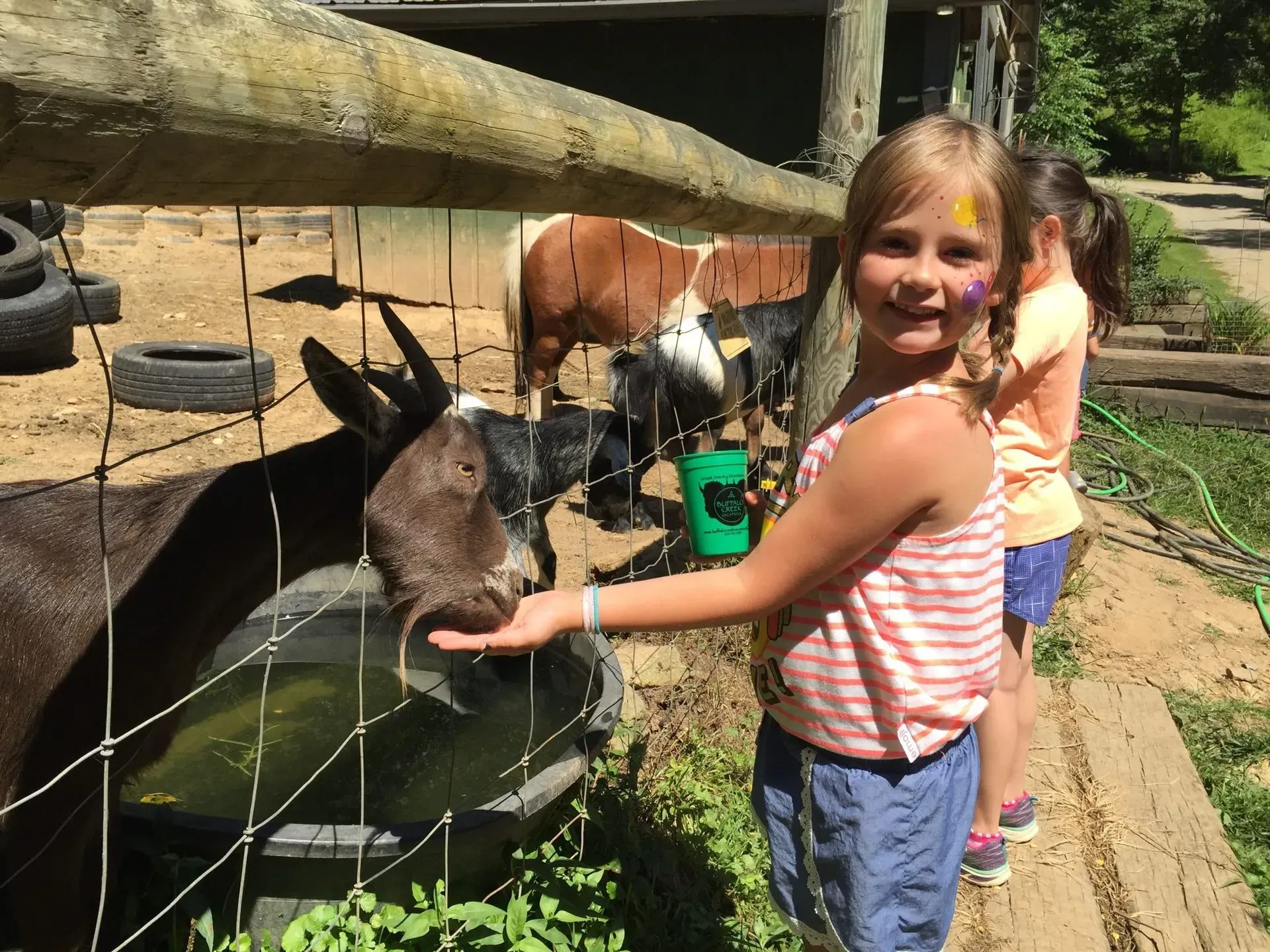 Child feeding goat at petting zoo.