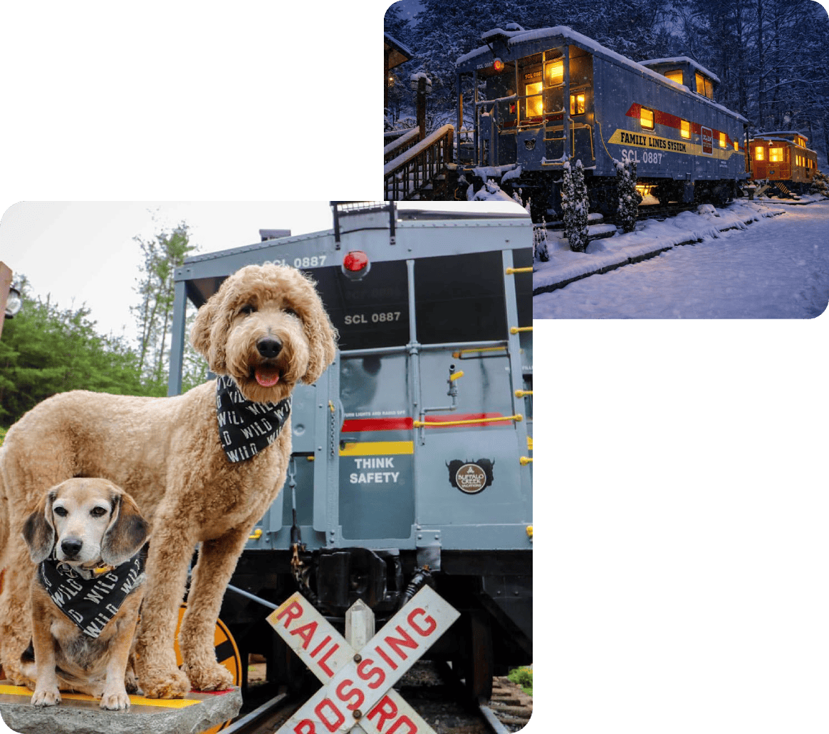 Dogs in front of vintage train car.