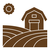 Ranch Activities